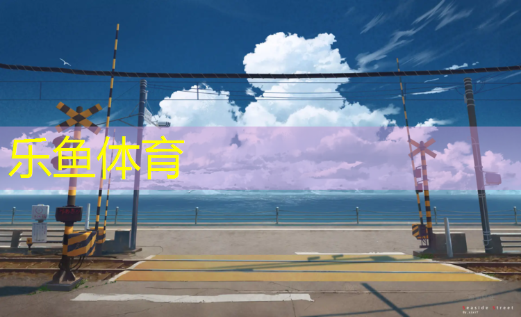 乐鱼体育,巢湖大学塑胶跑道