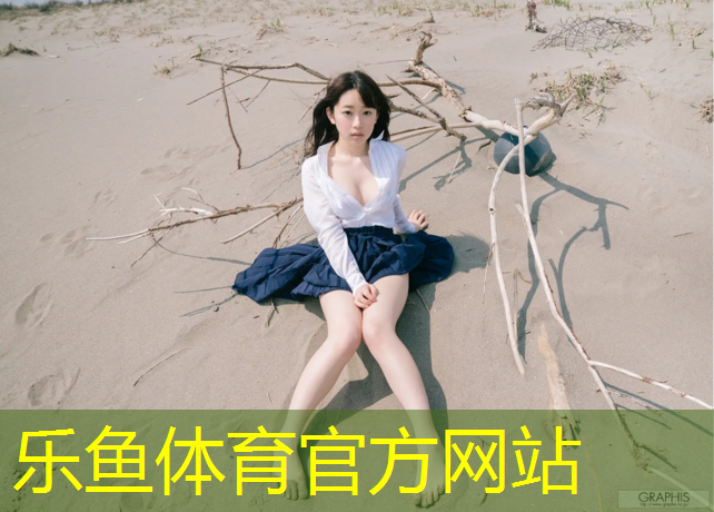 <strong>乐鱼体育,复合塑胶跑道工艺流程</strong>