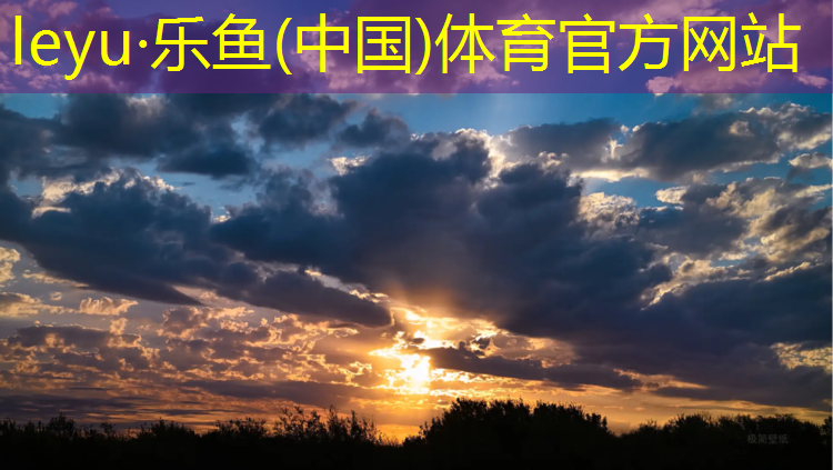 平湖高弹性塑胶跑道施工
